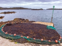 Isle of Benbecula, Peters Port